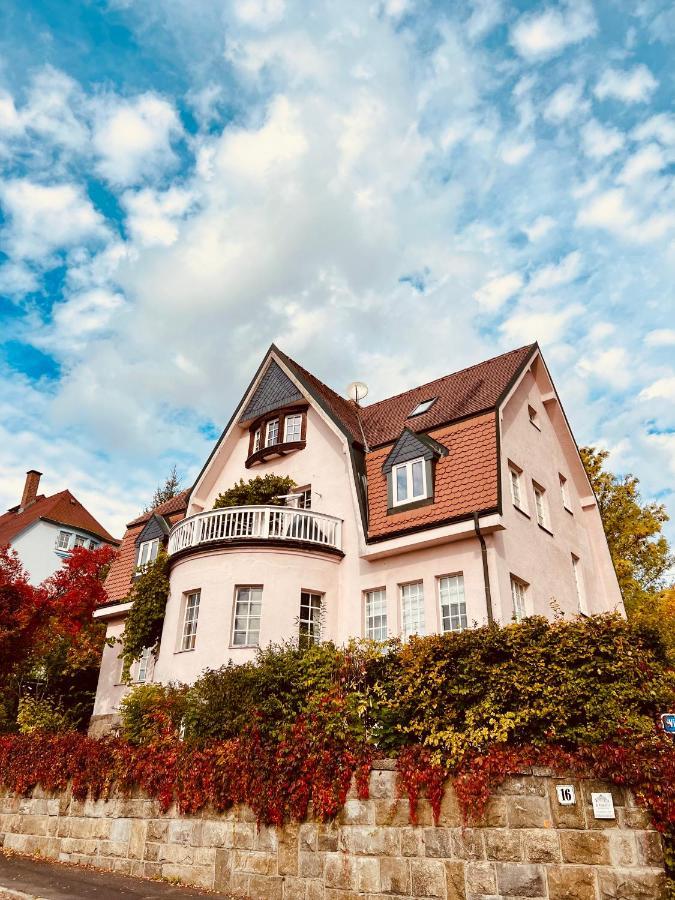 Paterre Wohnung In Der Rosa Villa Selb Dış mekan fotoğraf